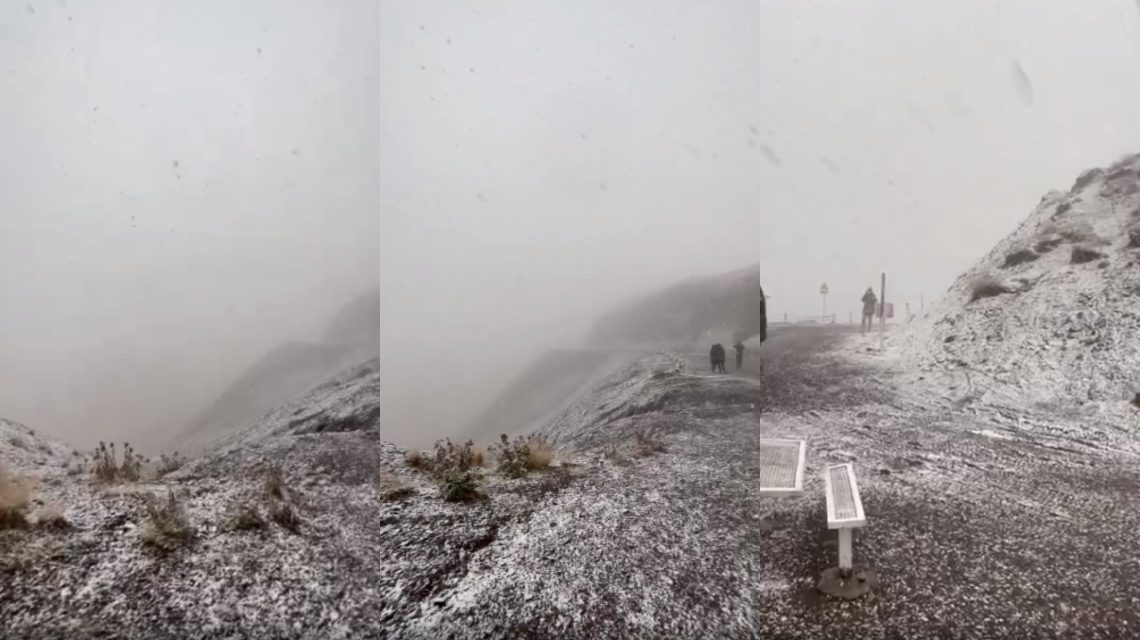 ๐ฅแแแแแ: แกแแฅแแ แแแแแแจแ แแแ แแแแ แแแแแ แแแแแแ