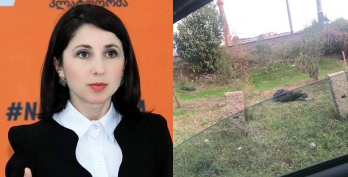 “შიმშილისგან გულწასული ქალი ქუჩაში წაიქცა” – რა ფოტოს აქვეყნებს “სტყრატეგია აღმაშენებლის” წევრი