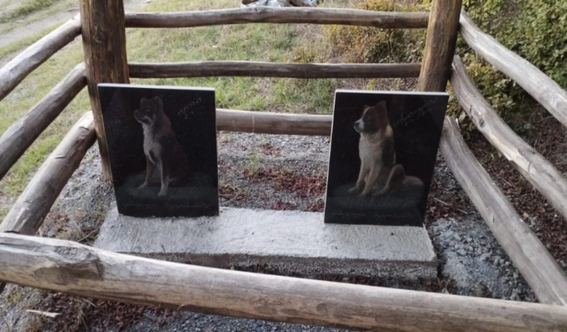 მინდა, ახლოს ვნახო და ვუთხრა, რომ ის “ადამიანია” – კახეთში ძაღლების საფლავებს ქვები დაადგეს