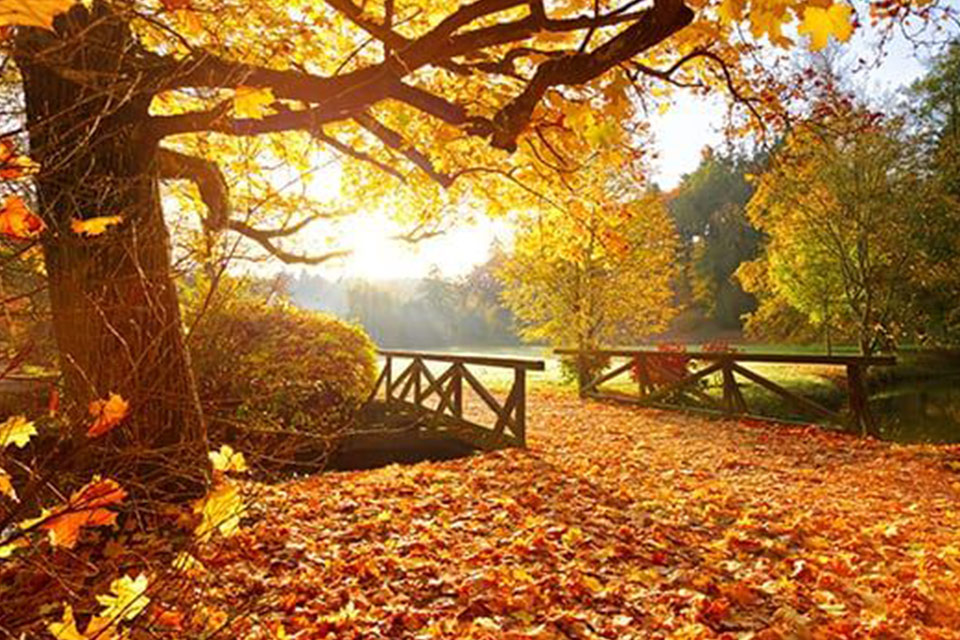 +22 გრადუსამდე დათბება – უახლოესი დღეების ამინდის პროგნოზი