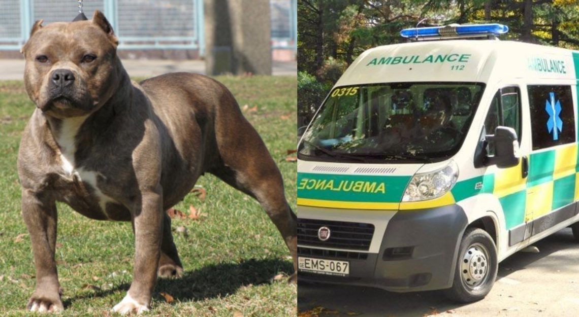 “გადარჩება თუ არა, არ იციან. მამამ ძლივს გამოგლიჯა“ –  თვითმხილველი