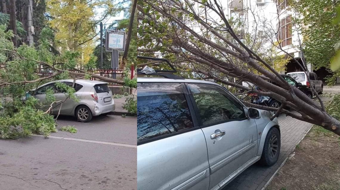 PHOTO: წაქცეული ხეები და დამტვრეული მანქანები – ქარმა და უამინდობამ მოსახლეობა დააზარალა