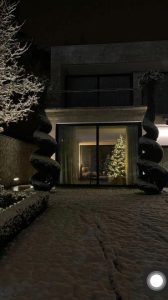 PHOTO: როგორ გამოიყურება ანუკი არეშიძის საახალწლოდ მორთული სახლი