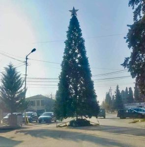 რატომ დადგეს წნორში შუა გზაზე ნაძვის ხე?