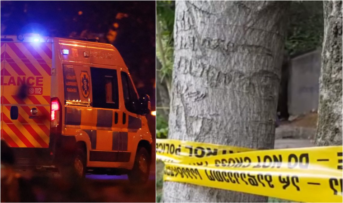 ”ქმარმა სიკვდილამდე ცემა და…” – 25 წლის ახალგაზრდა დედა მისმა 5 წლის შვილმა ხეზე ჩამოკიდებული იპოვა