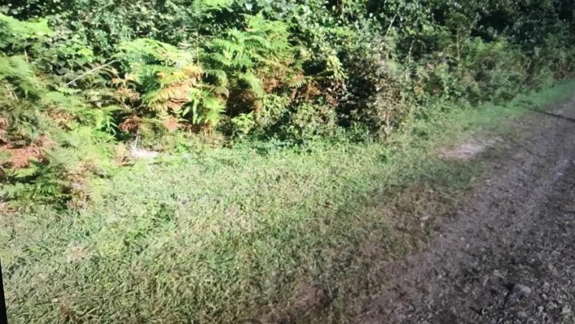 წალენჯიხაში ამ ადგილას იპოვეს ჩაფლული მაცივარი ადამიანის ძვლებით – არსებობს ეჭვი, თუ ვის ეკუთვნის ნეშტი?