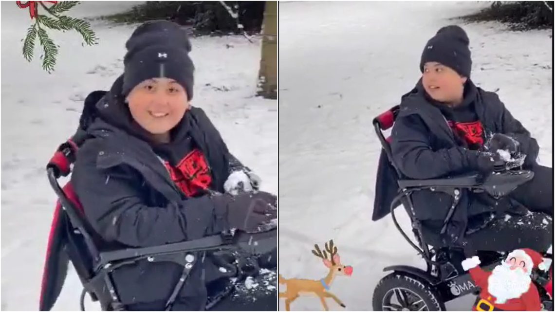 VIDEO: თოვლით გახარებული დათი – ცრემლისმომგვრელი კადრები გერმანიიდან