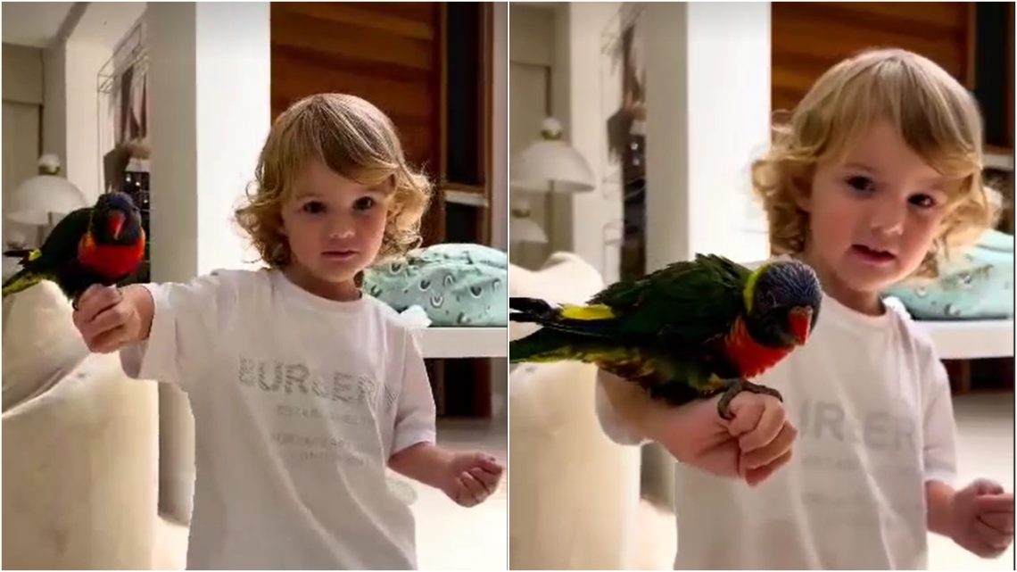 VIDEO: ივანიშვილების საოცარი თუთიყუში და ბერუკა