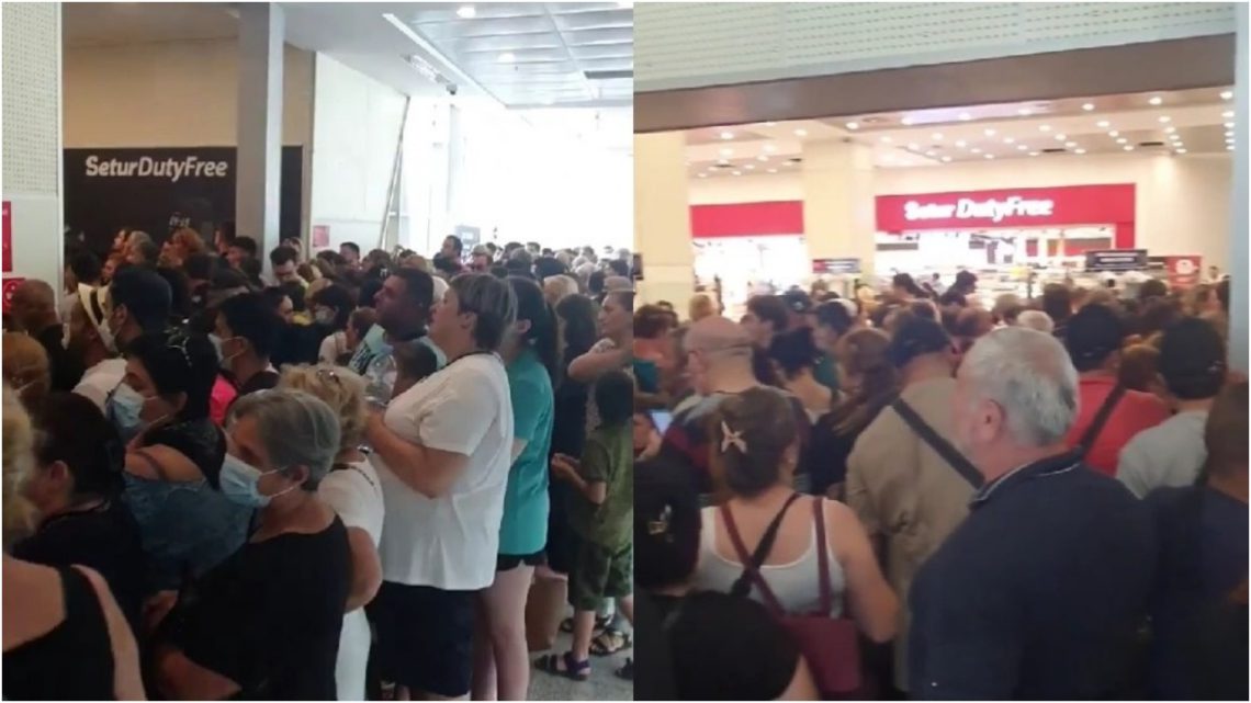 ვიდეო: გრძელი რიგები და ხმაური საქართველო-თურქეთის საზღვარზე