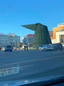 📷: ფოთში ძლიერმა ქარმა ნაძვის ხე გადაღუნა