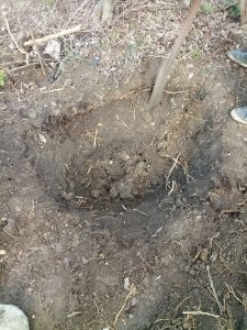 "დღეს გავხსენით საფლავი, ცხედრის ნასახიც არაა" - კახეთში ქალი "გარდაცვლილ" შვილს ეძებს