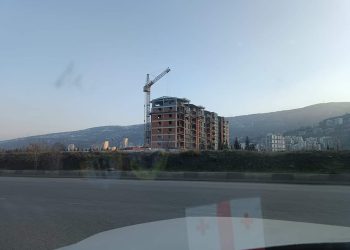13 ხე მქონდა დარგული, დღეს კორპუსი ააშენეს – რას წერს მოქალაქე?