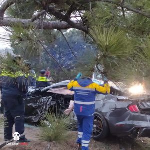 "დალეწილი და შუაზე გადახსნილი ავტომობილი"- ადგილი სადაც 18 წლის გოგო დაიღუპა (ფოტო)