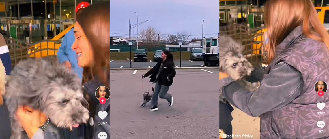 ๐ฅแแแแ แงแแแแแก แแ แแ แฌแแแก แฃแแแฎแแแ แซแแฆแแ แแแแ แแแแจแ แฉแแฃแงแแแแแก – แแแแชแแฃแ แ แแแแ แแแ แแแ แแแแ แขแแแแ