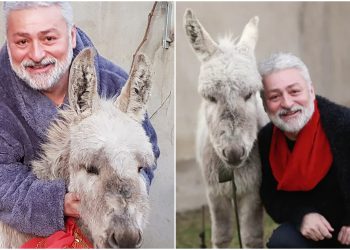 🎥VIDEO: რა ბედია ეწია გია ჯაჯანიძის ვირს, კოკროჭინას, რომელსაც ტელეწამყვანმა თავისი გვარი მისცა