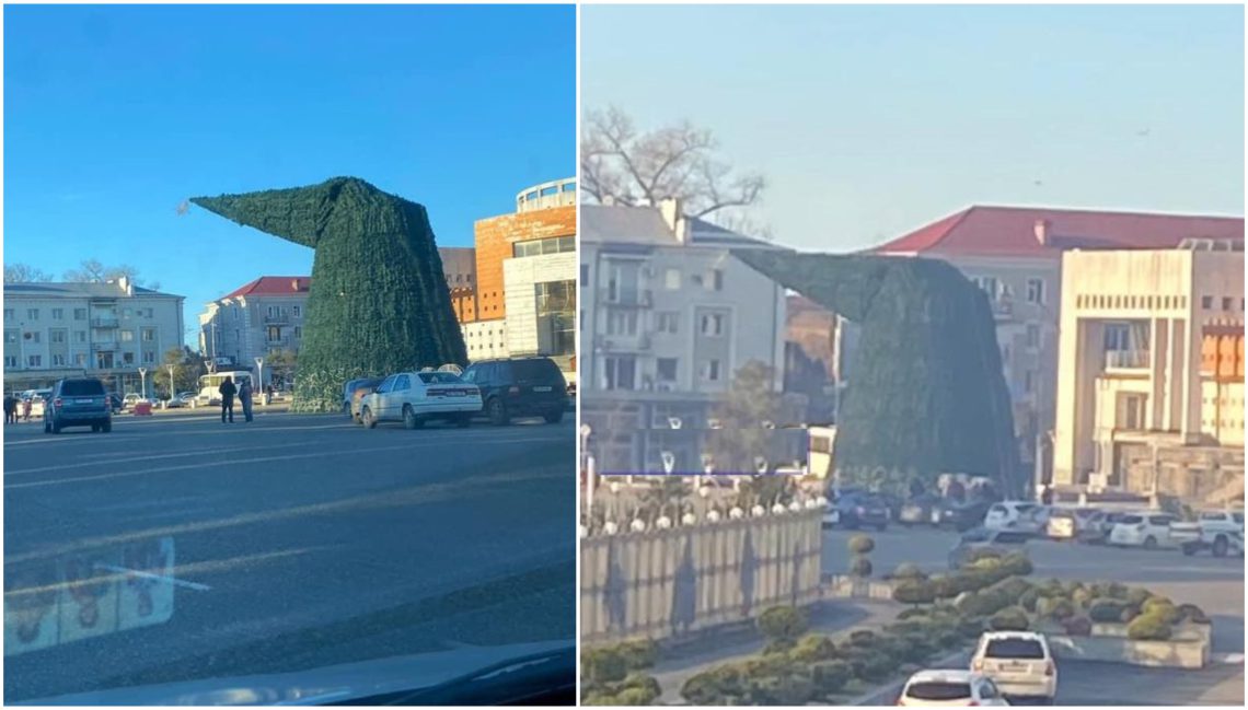 📷: ფოთში ძლიერმა ქარმა ნაძვის ხე გადაღუნა