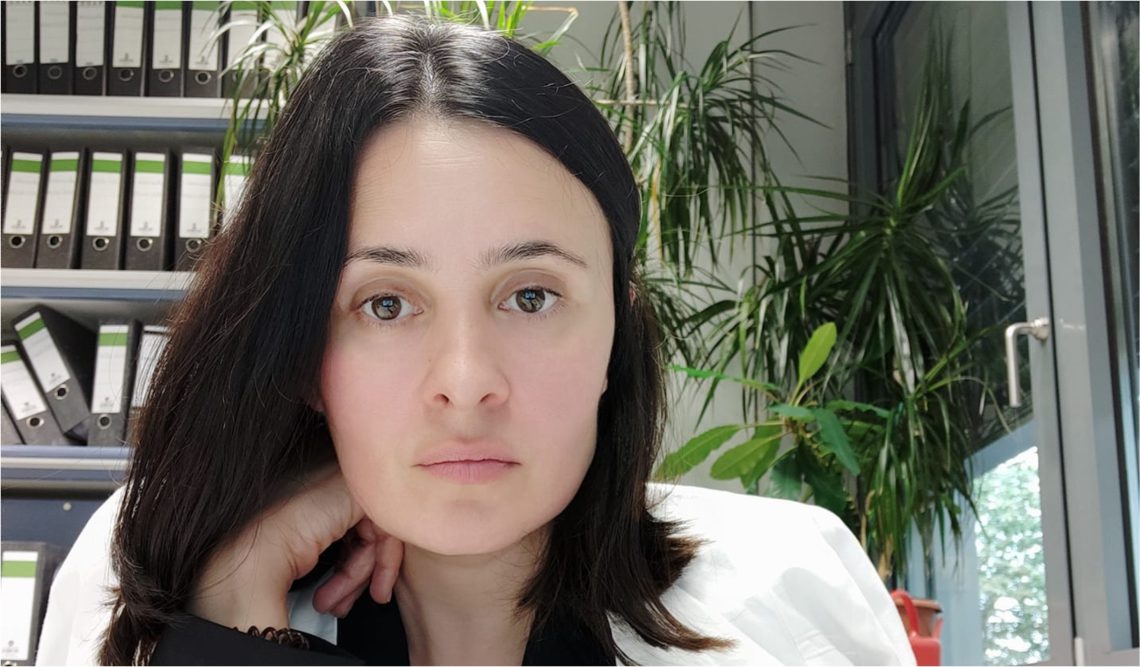 “ნაციონალური მოძრაობის არჩევნები იქნება გაყალბებული – რატომ ჩაყვნენ მელიას ფეიქარჩევნებში” – აფაქიძე