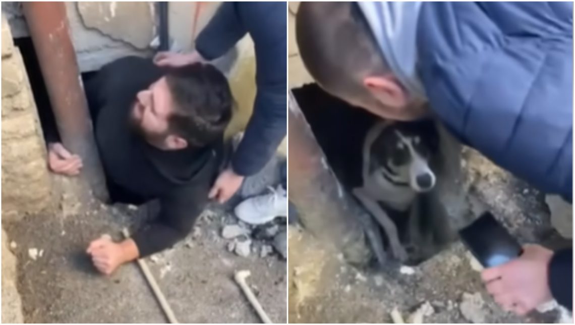 🎥თბილისში შენობებს შორის გაჭედილი ცუგა ახალგაზრდებმა გადაარჩინეს- ცრემლებს ვერ შეიკავებთ