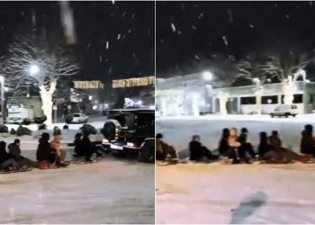 ვიდეო: ციგების მატარებელი საგარეჯოში-მეზობლების უმაგრესი ვიდეო ნახვების რეკორდს ხსნის