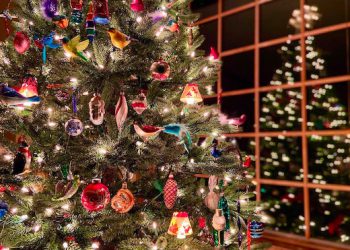 როდის უნდა ავიღოთ ნაძვის ხე – ნათლისღებამდე თუ მის შემდეგ?