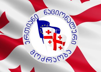 სკანდალი ენმ-ს არჩევნებზე – „ოცნების“ დეპუტატები „ნაციონალური მოძრაობის“ ამომრჩეველთა სიაში დარეგისტრირდნენ