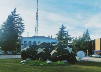 ხონის საახალწლო ნაძვის ხეც ძლიერმა ქარმა წააქცია