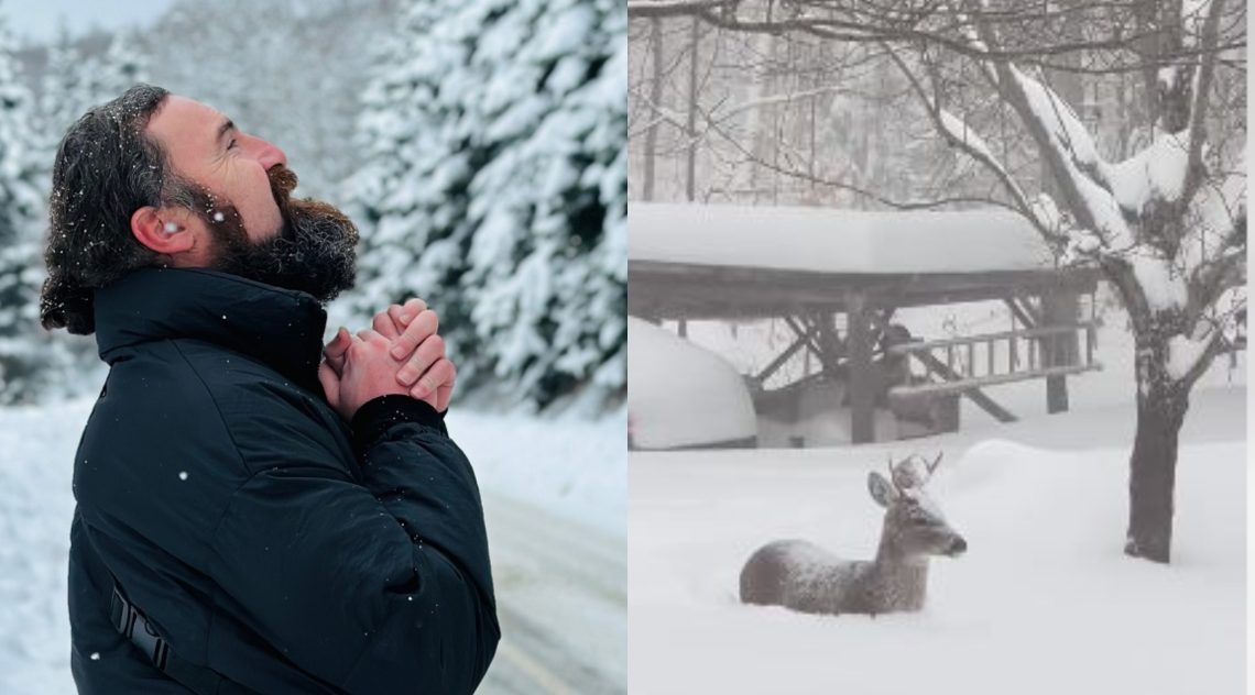 VIDEO: “ნენა, აი, რა ვნახე, რაფერია” – გივიკო დიდიას სახლთან ირემმა მიაკითხა