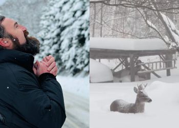 VIDEO: “ნენა, აი, რა ვნახე, რაფერია” – გივიკო დიდიას სახლთან ირემმა მიაკითხა