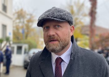 რიგში შემდეგი ვირის ტვინია – რას წერს ზურა ჯაფარიძე