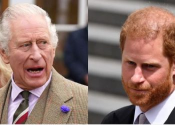 „მამაჩემი მეუბნებოდა, ვინ იცის, იქნებ ჩემი შვილი არ ხარო…” – პრინცი ჰარის სკანდალური განცხადება