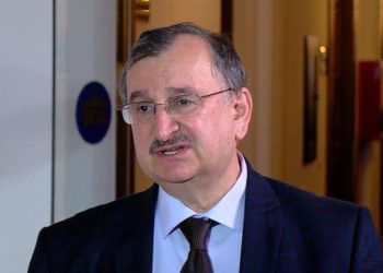 ამ ქრისტეშობა დღეებში პარლამენტის წინ აყუდებული ალტინფოს ჯვრის შეტანა არ დაგავიწყდეთ – გოცირიძე კულტურის სამინისტროს გადაწყვეტილებაზე