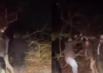 🎥”გვიშველეთ ვინცხამ”-რიკოთიდან ათასობით ადამიანი დახამრებას ითხოვს