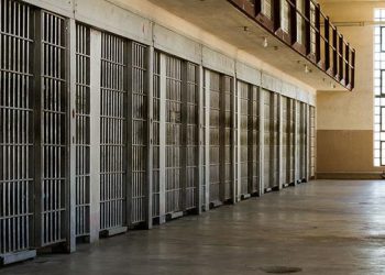 “წინა დღეს ვნახე, ნაცემი იყო..” – რას ამბობს ბელგიაში გარდაცვლილი ქართველი პატიმრის ცოლი?