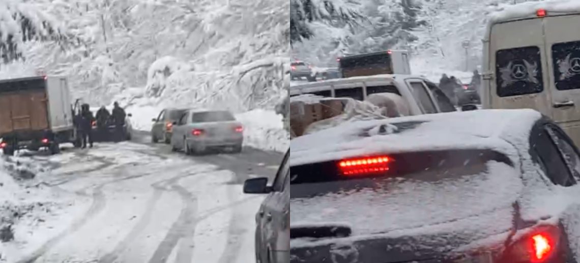 🎥რა მდგომარეობა რიკოთზე ამ წუთებში?