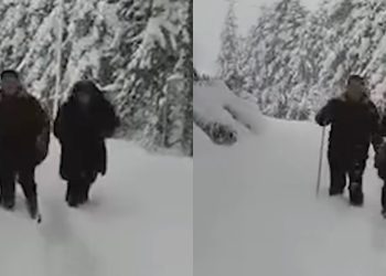 🎥ვანის სკოლის 82 წლის დირექტორი,რომელიც დიდთოვლობის მიუხედავად საკუთარ დაბადების დღეზე მუშაობს