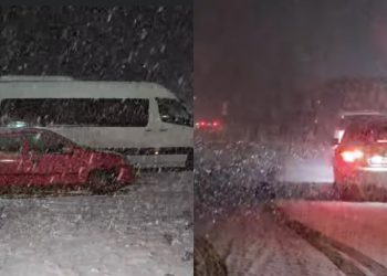 🎥”მოგვეშველეთ….ნახეთ რა ხდება რიკოთზე, საწვავი და სააჭმელი არ გვაქვს”- პირველი კადრები რიკოთიდან