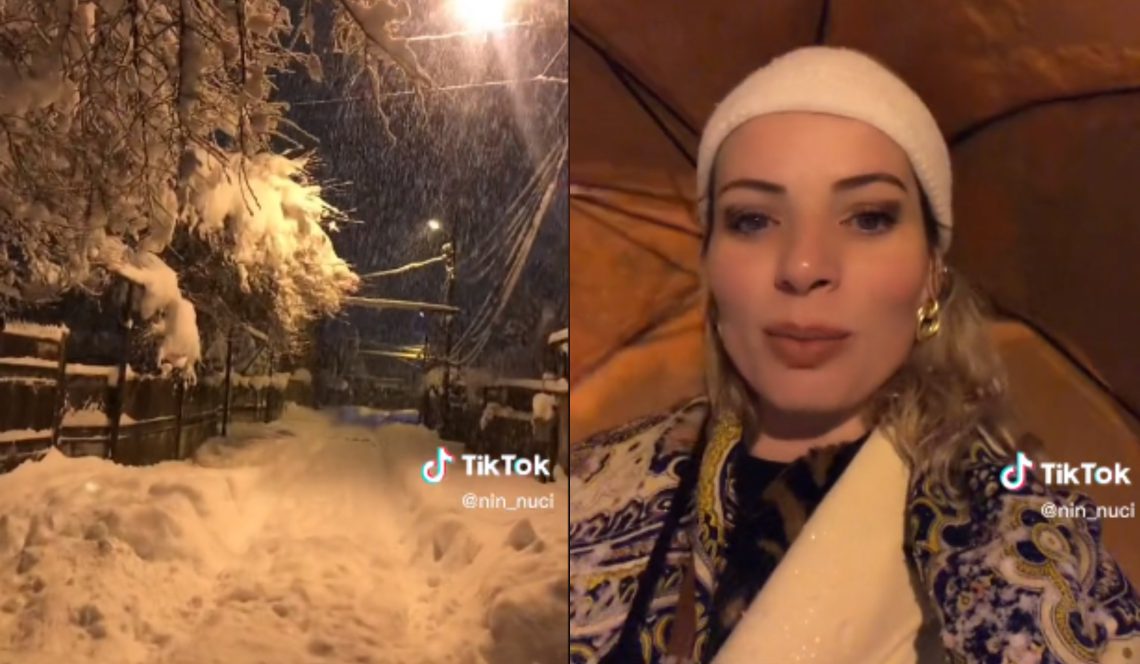 🎥 “არ გვაქვს გაზი, წყალი, ხეები ტყდება” – დიდთოვლობა ზესტაფონში