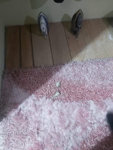 “სამ დღეში ორჯერ სახლის დალეწვა კაცობა გგონიათ? არ შეგრჩებათ” – ნატო გოგელია