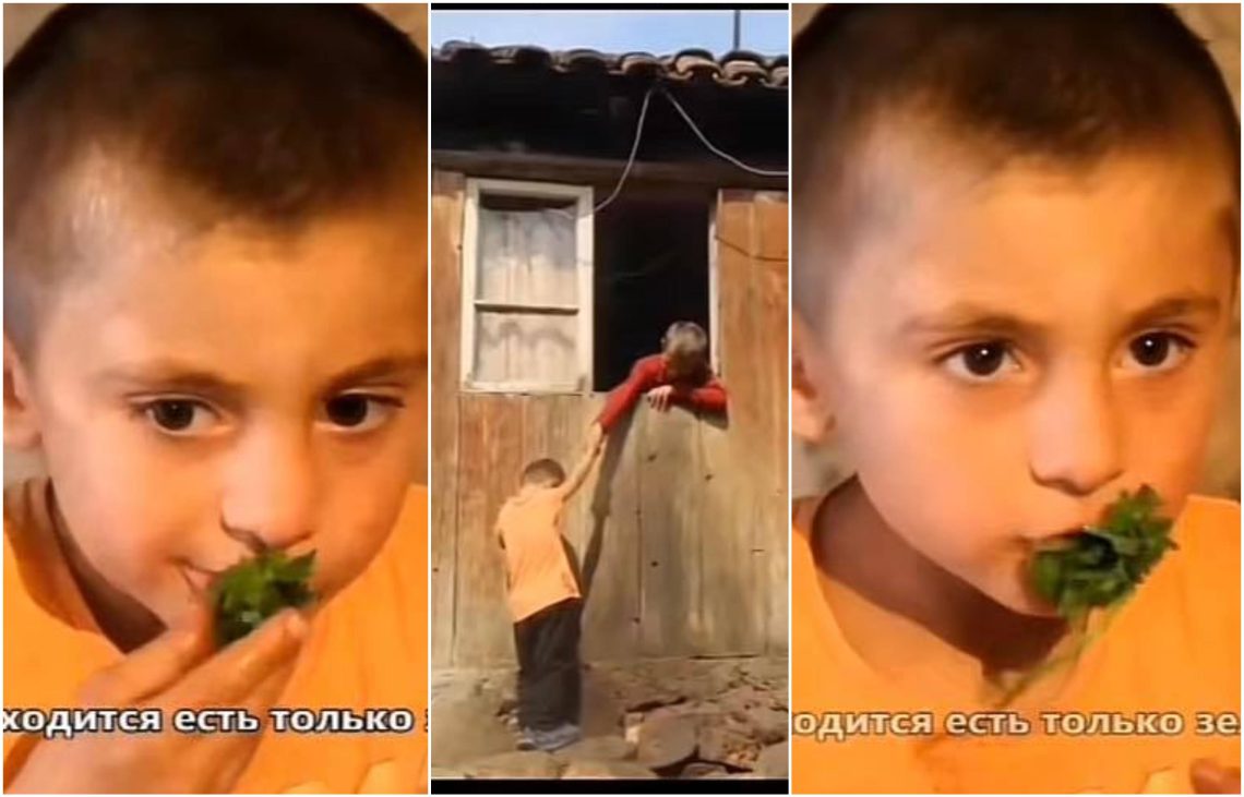 🎥”საჭმელი არ გვაქვს მწვანილს ვჭამთ”- სულისშემძვრელი კადრები ქართული სოფლიდან