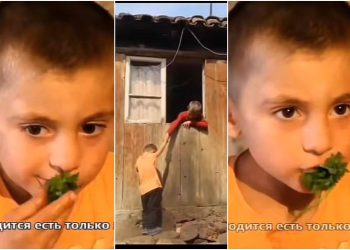 🎥”საჭმელი არ გვაქვს მწვანილს ვჭამთ”- სულისშემძვრელი კადრები ქართული სოფლიდან