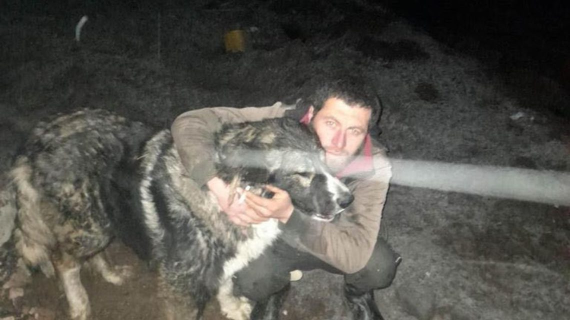 ოსიაურში მწყემსმა ტბაში ჩავარდნილი ძაღლი გადაარჩინა