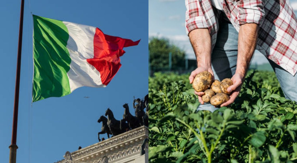 საქართველოს მოქალაქეებს შესაძლებლობა მიეცემათ, იტალიაში, სეზონურ და არასეზონურ სამუშაობზე დასაქმდნენ – რა ინფორმაცია ვრცელდება?
