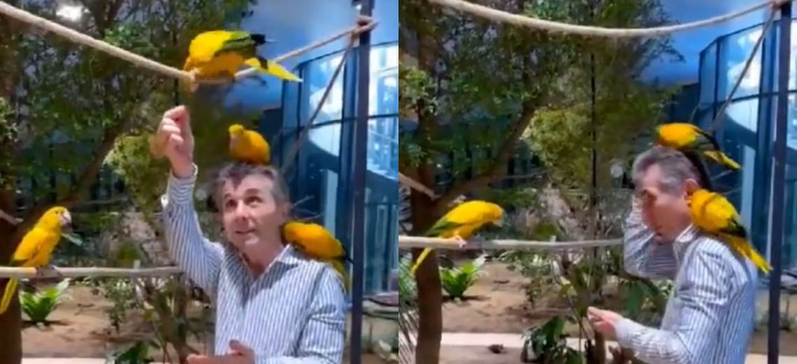 ๐ฅแแแแแ: แแแแแแจแแแแ แแแแแฉแแแ! แแแฎแแ แ แแก แกแแฅแแแแแแแก แแแแแแ แแแ แ?