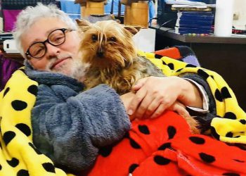 გია ჯაჯანიძე დაკარგულ ოთხფეხა მეგობარს ეძებს – “ჩემი თილი ეზოდან გაიპარა და ვერ ვპოულობთ“