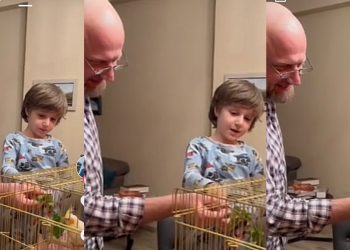 🎥ჯაფარამ თუთიყუშს ოხრახუში აჭამა – ნახეთ ვიდეო