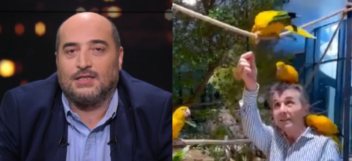 თუთიყუშებიანი ვიდეოკადრის გავრცელებით ბიძინას უნდა, რომ გვეგონოს, რომ ძააალიან მშვიდადაა – მიშა მშვილდაძე