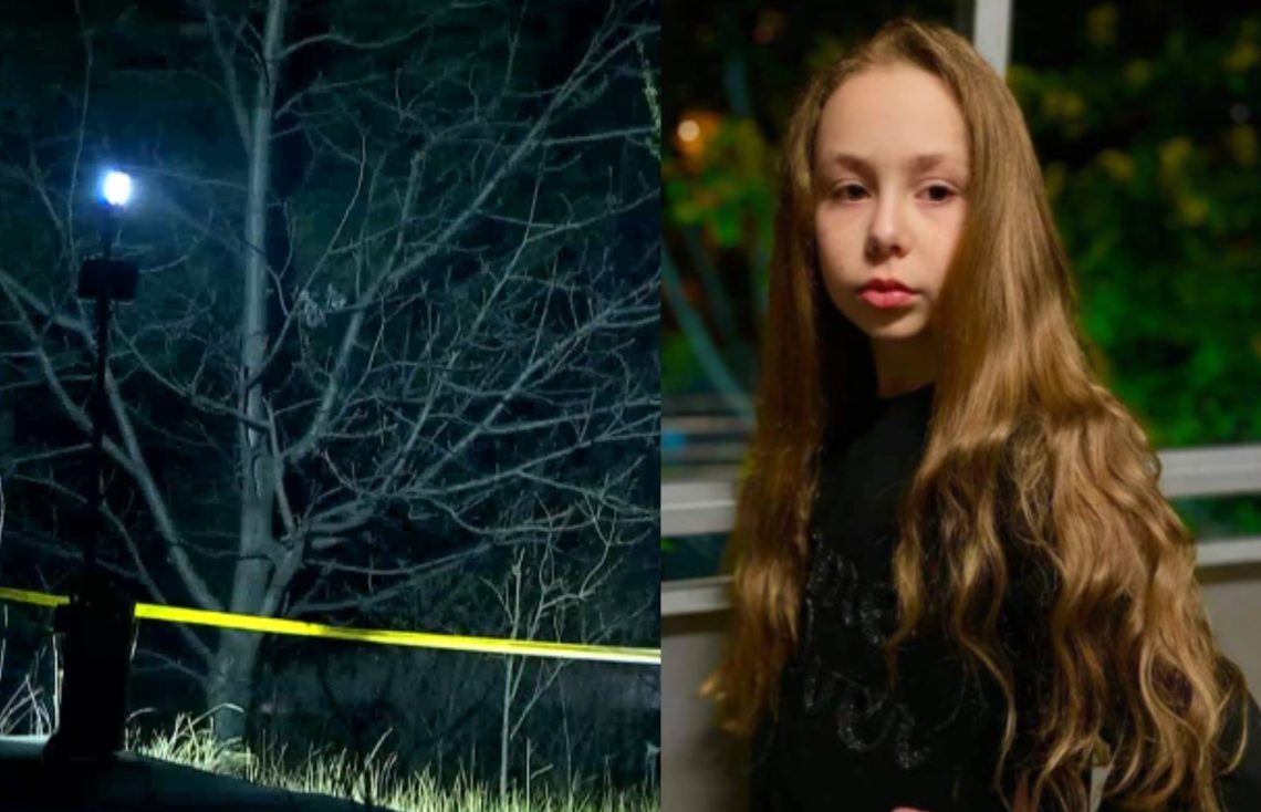 🎥 “რა მოხდა რეალურად ანას თავს? შემთხვევის ადგილზე მივდივართ და ვცდილობთ აღვადგინოთ მაქსიმალურთან მიახლოებული სურათი“ – Post Factum-ის ინტერვიუ სავარაუდო ოქროს მოწმესთან