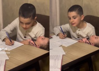 VIDEO: მეცადინეობისას მძინარე დაიკო მუხლებზე უწვენია და თან ეფერება – ყველაზე ემოციური ვიდეო ინტერნეტში, რომელიც დედმამიშვილობას სხვანაირად დაგანახებთ