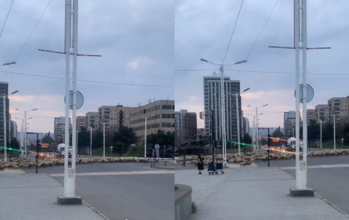 VIDEO: თვალებს არ დაუჯერებთ, ეს ვაზისუბანში ხდება – რა კადრები ვრცელდება დედაქალაქის გარეუბნიდან