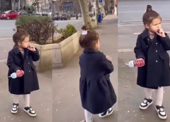 VIDEO: სეირნობისას უყურადღებოდ არაფერს ტოვებს – პატარა ალისკა თბილისის ქუჩებში დანარნარებს